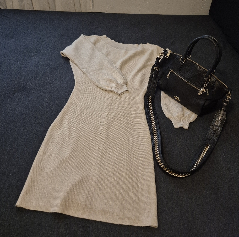 Express Cream Knit Sweater Dress